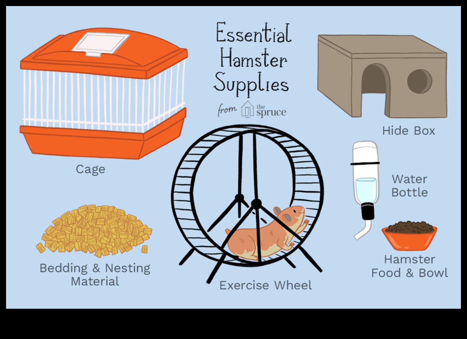 Hamster Barınma Esasları: Doğru Kafes ve Yatak Seçimi