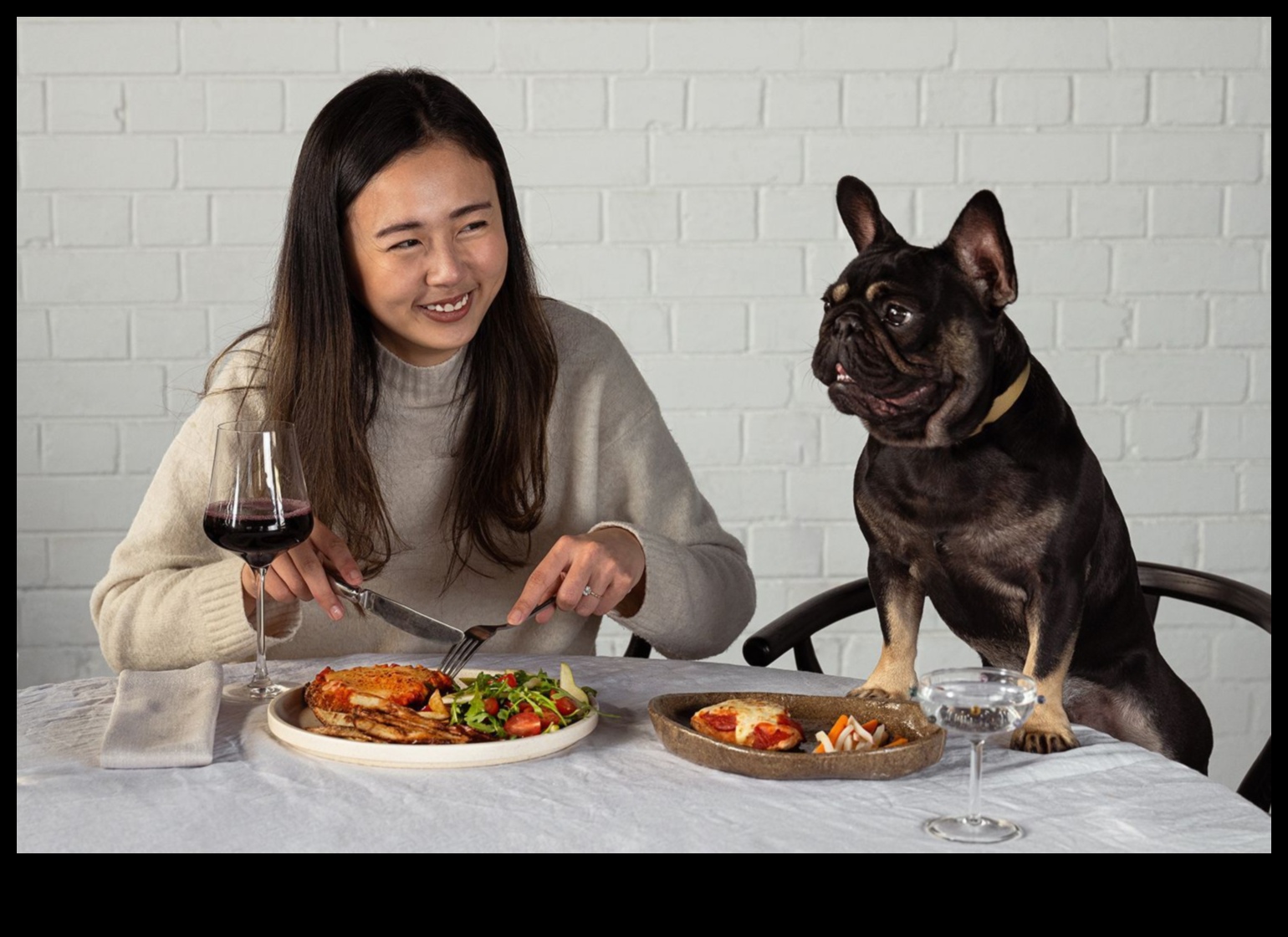 Doggy yemek: köpek dostu bir yemek zamanı deneyimi yaratmak