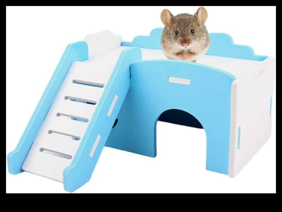 Hamster Haven: Tüylü arkadaşınız için mükemmel bir ev yaratmak