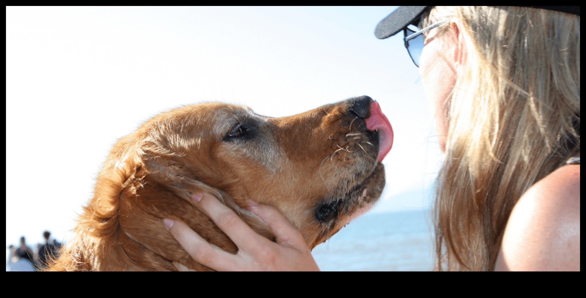 Doggy Day Out: Yavrunuzla Nihai Günlük Geziyi Planlama