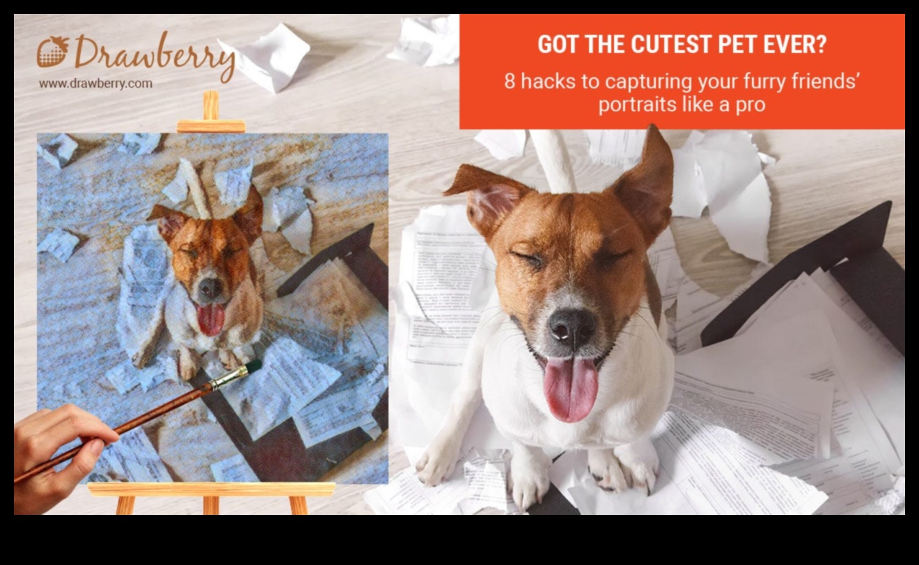 Pocket Pet Photography Play: Instagram'a layık çekimler yaratmak